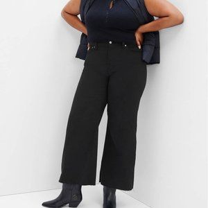 NWT GAP sz 20 / 30R High Rise Wide-Leg Jeans with Washwell Raw Hem